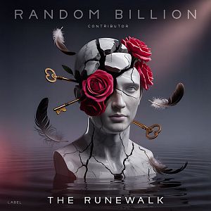 Premade album Cover Ship Gray - ID 12225